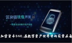 加密货币BNE：在数字资产世界中的崭露头角