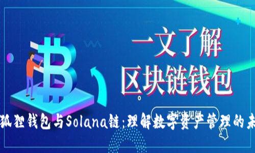 小狐狸钱包与Solana链：理解数字资产管理的未来