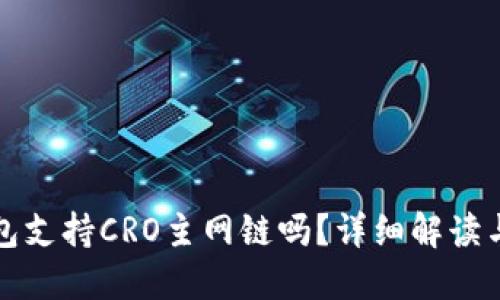 小狐狸钱包支持CRO主网链吗？详细解读与实用指南