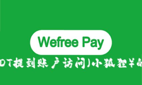 如何把USDT提到账户访问（小狐狸）的详细指南